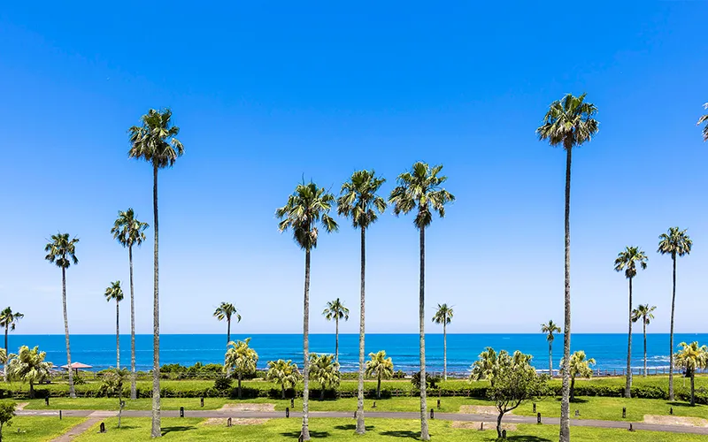 宮崎白浜キャンプ場